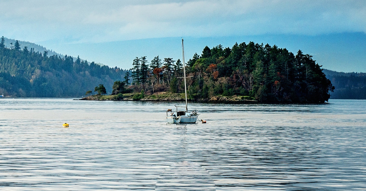 PlaceSpeak Brentwood Bay Navigating the Issues