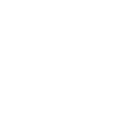 Twitter icon link to placespeak's twitter account